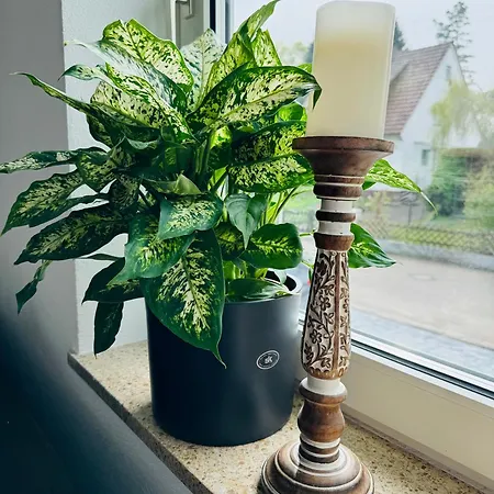 Ihm Ai Appartement